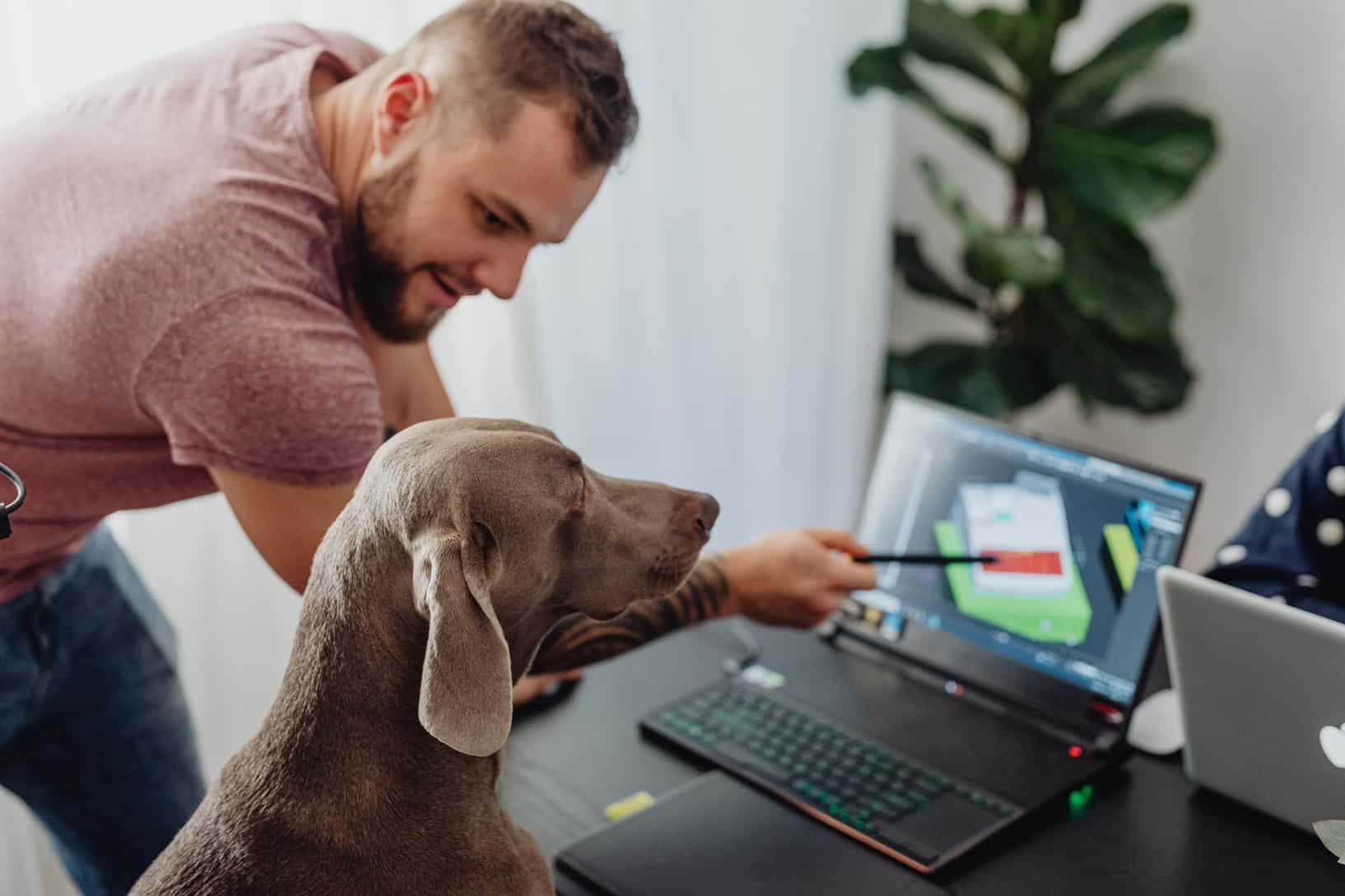 a man standing beside a brown dog while pointing the screen of a laptop