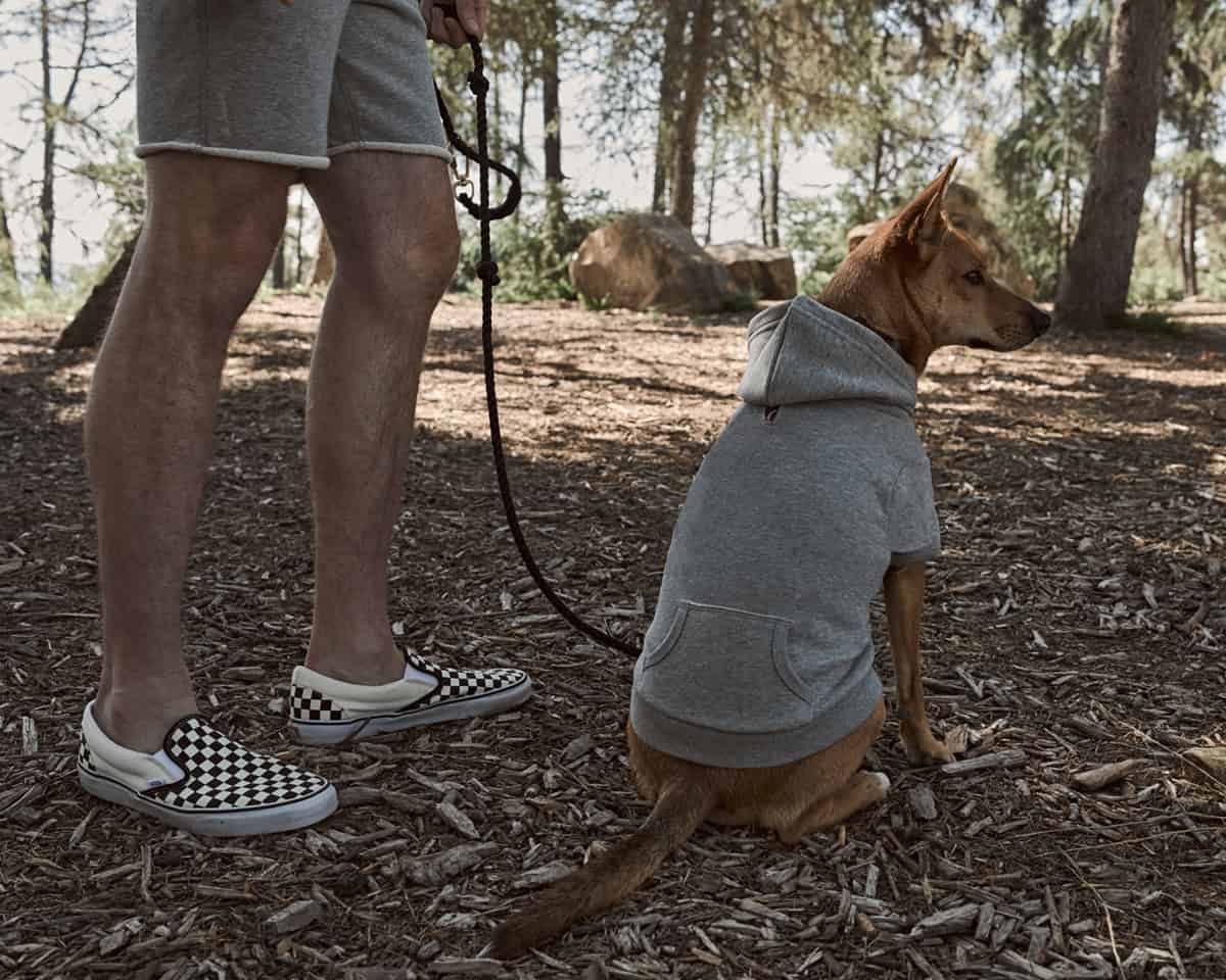 Sweatshirt Hoodie - NYC Dog Hoodie - Dog Sweatshirt - 4 Color